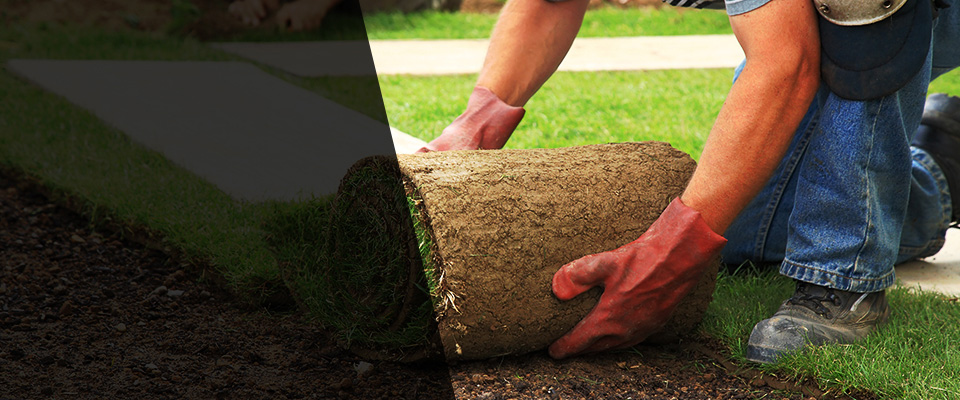 Midway Park Landscapers